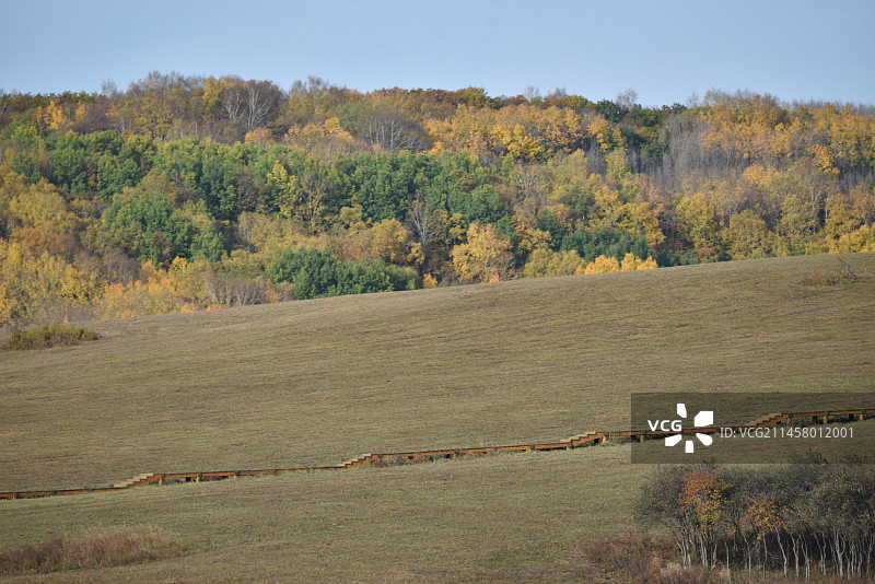 塞罕坝和御道口的秋天风景图片素材