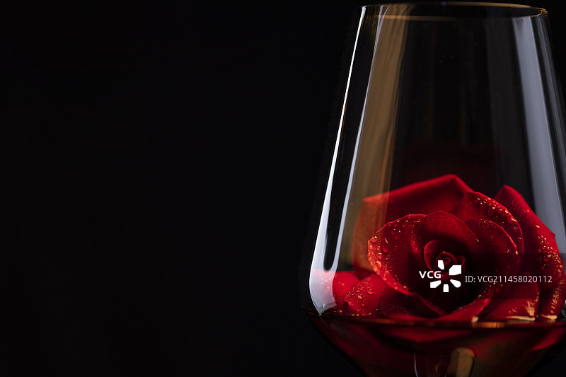红酒杯中的红玫瑰图片素材