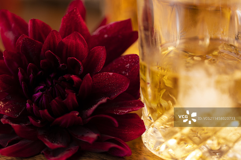 威士忌和大丽花静物图片素材