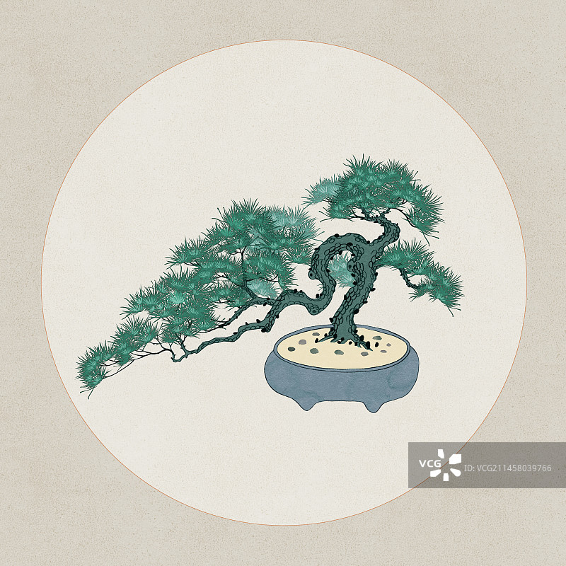 古风松树盘景图片素材