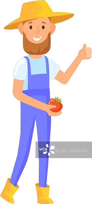 快乐的农民收获成熟的番茄图片素材