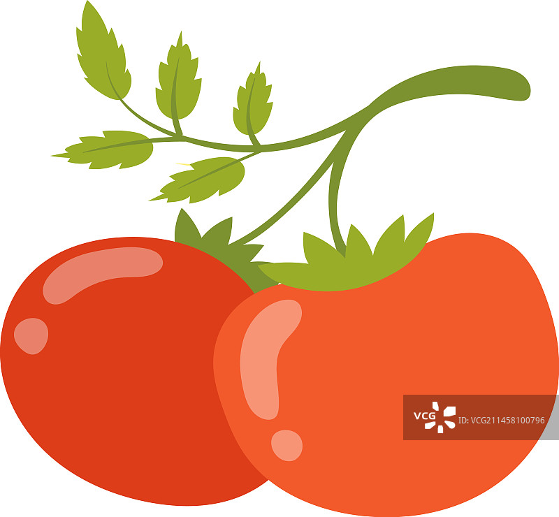 卡通风格的天然新鲜带枝番茄图片素材