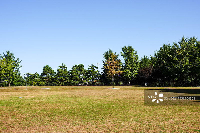 秋天蓝天映衬下的城市公园景色——朝阳公园图片素材