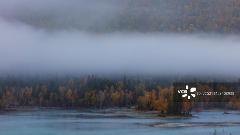 秋天的新疆阿勒泰喀纳斯神仙湾晨雾，云雾像飘带一样缭绕山腰，森林树木黄绿相间，宛如油画中的仙境图片素材