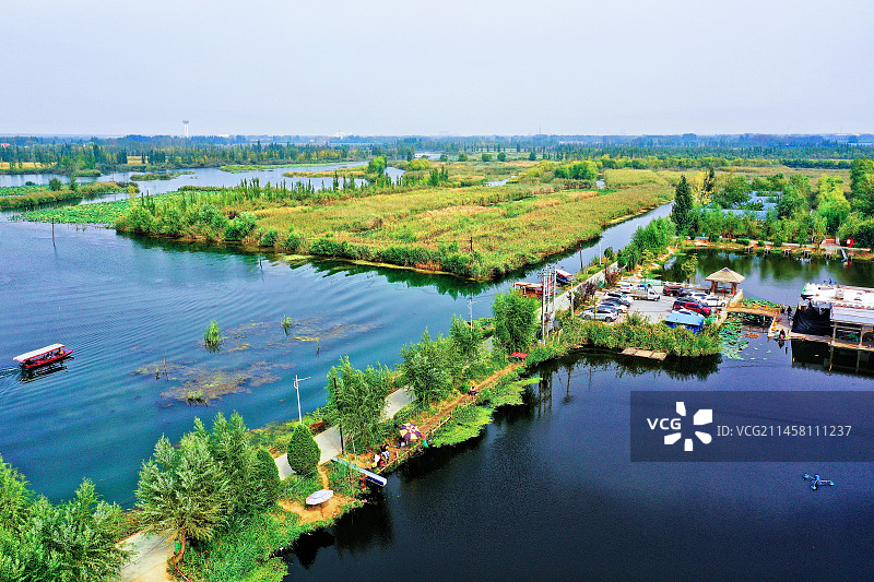 朝霞彩云金秋凉 碧水荷塘芦苇荡 鸟语欢歌雁鹭翔 乌篷千帆天边上 （华北明珠白洋淀）图片素材
