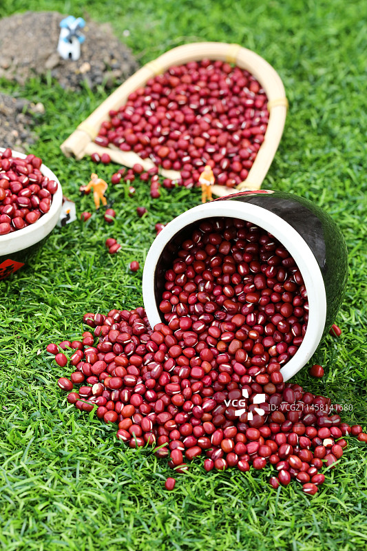 深底上的红豆图片素材