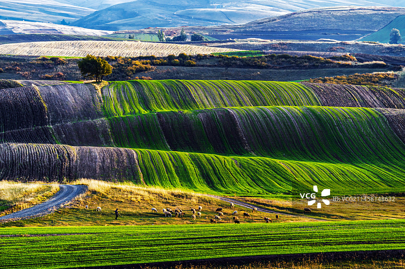 《田园风光》拍摄于新疆木垒县平顶山图片素材