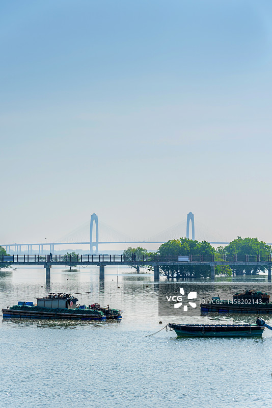 中国广东茂名电白水东湾风光图片素材