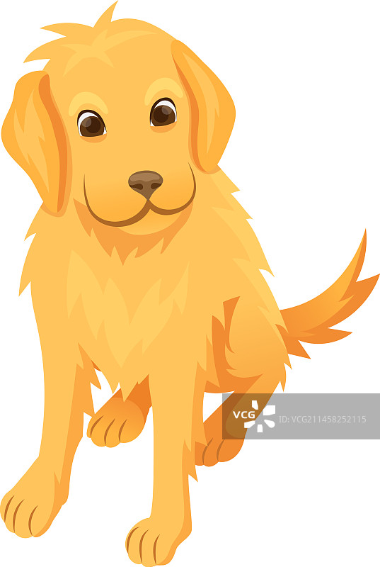 卡通可爱坐姿金毛寻回犬幼犬图片素材