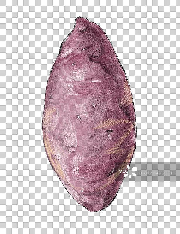 红薯 地瓜 马铃薯 紫薯 手绘插画 写实风格免抠元素图片素材