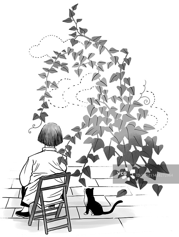 父母 背影 老人晚年 幸福老人图片素材