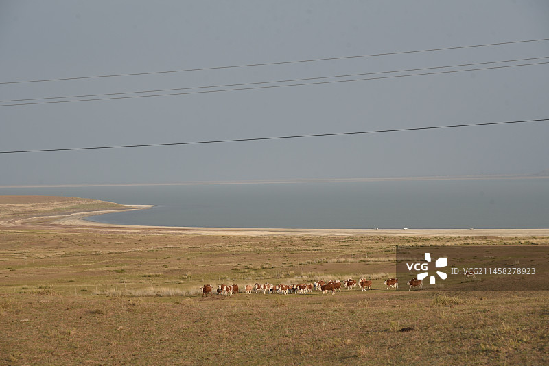 内蒙古达里诺尔湖图片素材