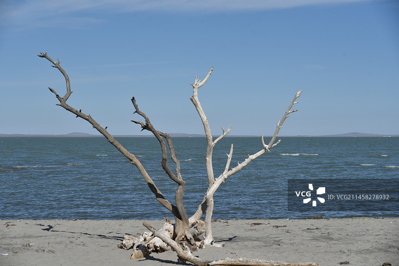 内蒙古达里诺尔湖图片素材