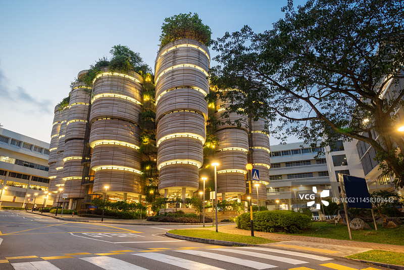 NTU小笼包夜景图片素材