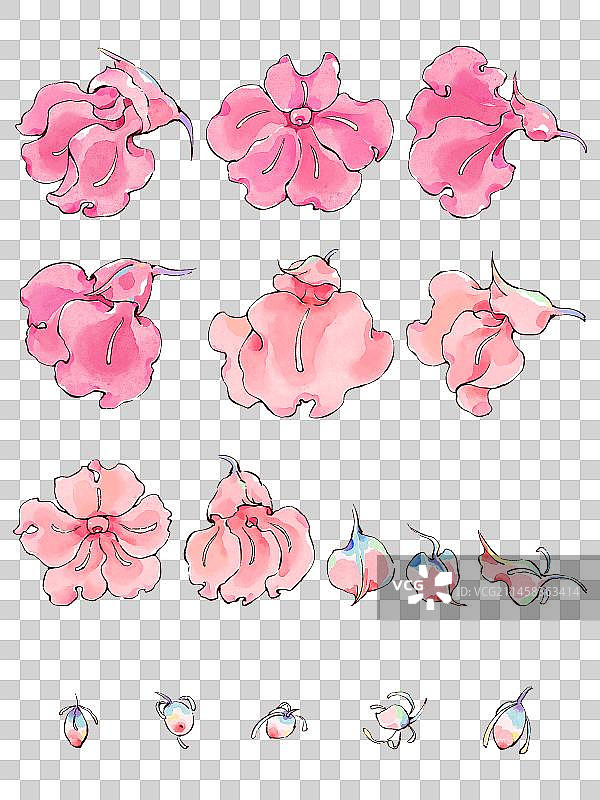 钢笔淡彩风格水彩画四季花卉设计元素图片素材