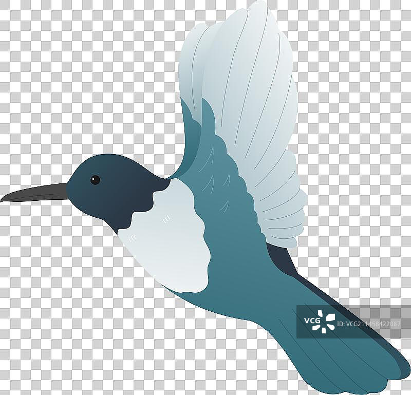 中国风飞翔喜鹊图片素材