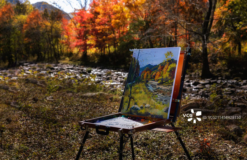 画秋（本溪大地森林公园）图片素材