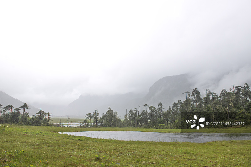 西藏林芝的原始雨林和沼泽图片素材