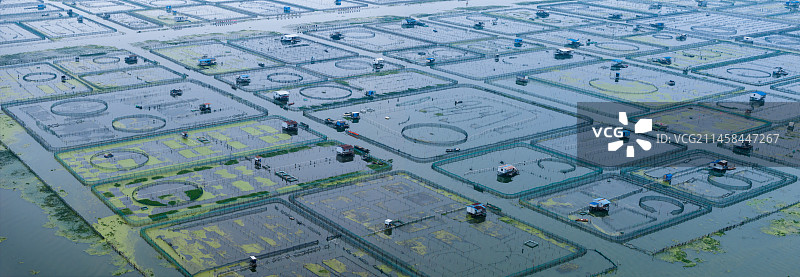 阳澄湖大闸蟹水产养殖航拍全景图片素材