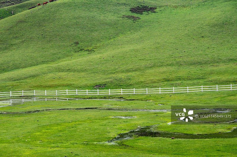 曲靖会泽大海草山草原牧场图片素材