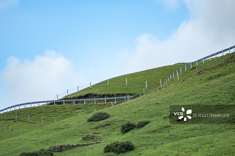 曲靖会泽大海草山草原牧场图片素材