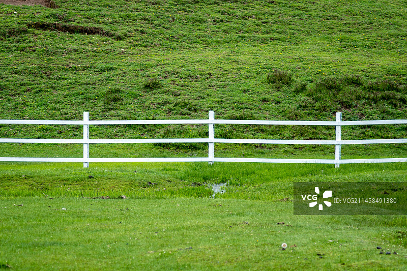 曲靖会泽大海草山草原牧场图片素材