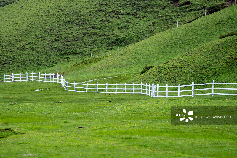 曲靖会泽大海草山草原牧场图片素材