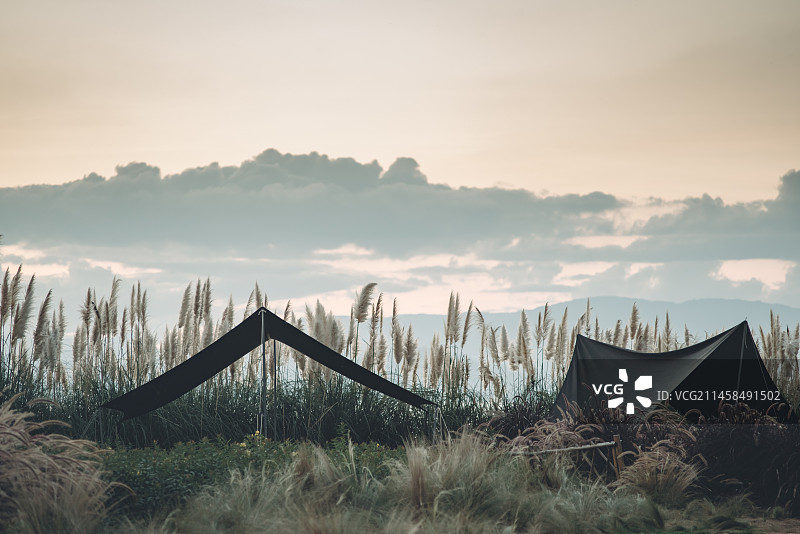 滇池牛恋上蒜公社小渔村露营图片素材