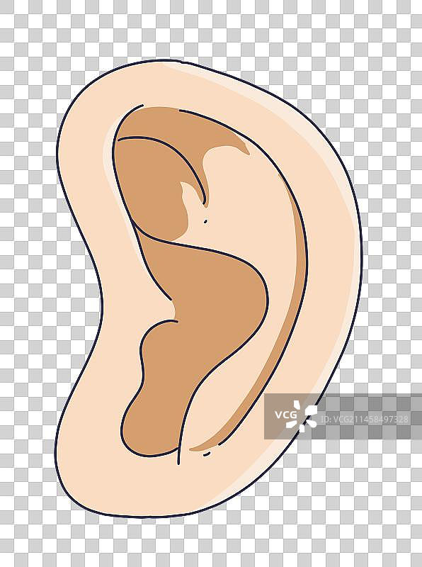元素：耳朵图片素材