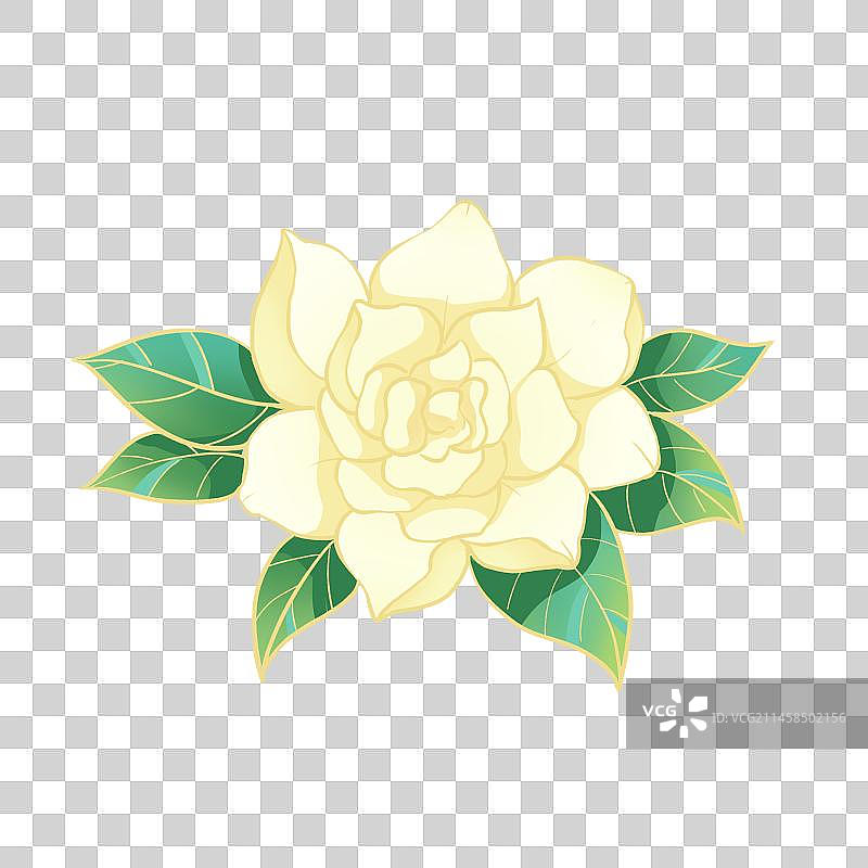 国潮茉莉花插画图片素材