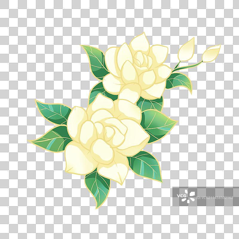 国潮茉莉花插画图片素材