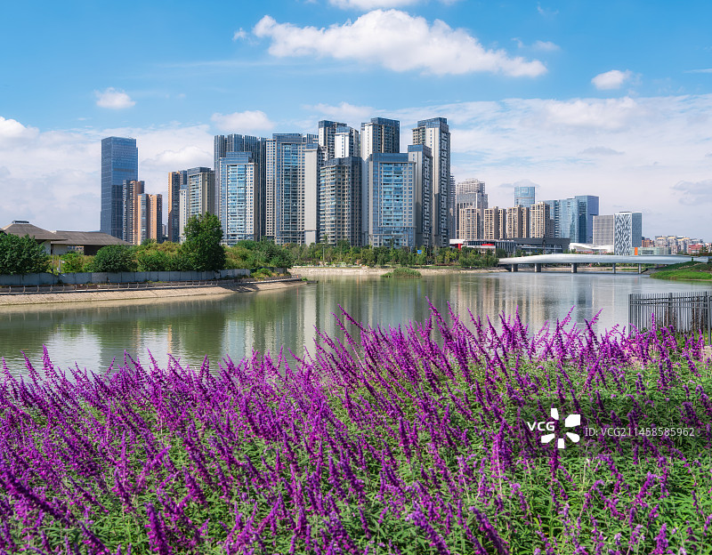 中国四川成都府河边的湿地公园风光图片素材