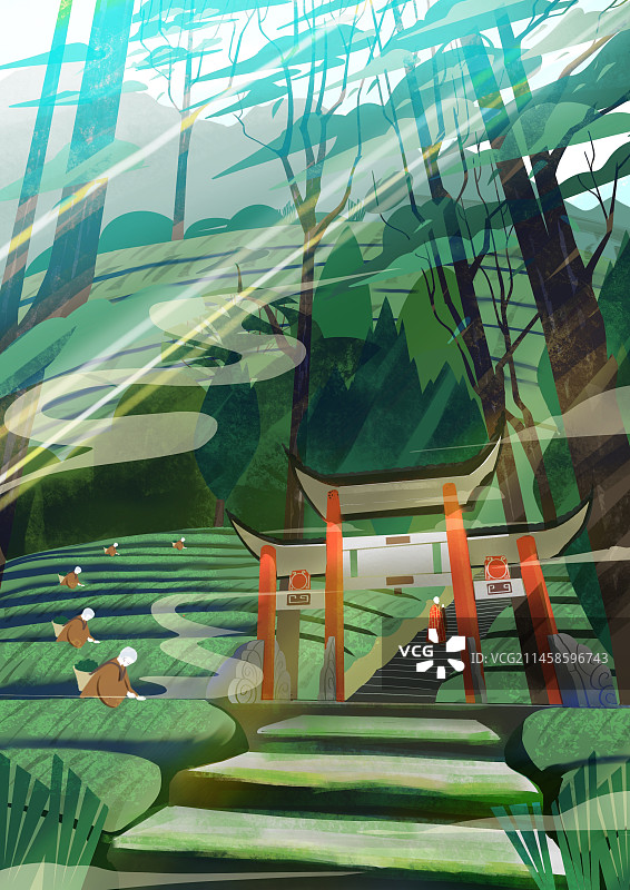 禅茶采摘图片素材