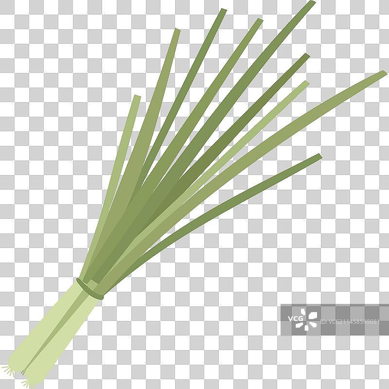 蔬菜元素图片素材