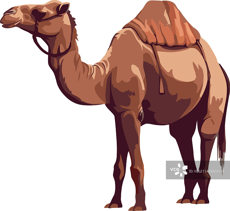 骆驼动物图标图片素材