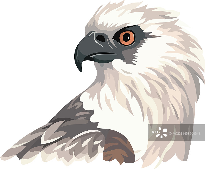 老鹰动物野生动物图标图片素材