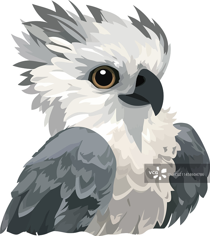老鹰动物鸟类图标图片素材