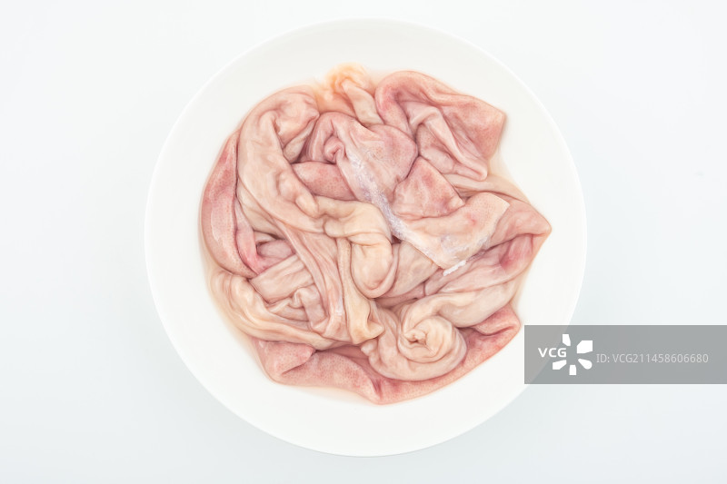新鲜猪小肠图片素材