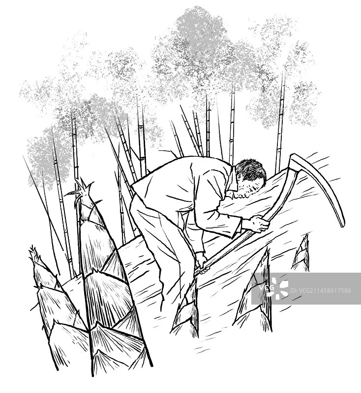 竹笋 上山 挖 食材图片素材