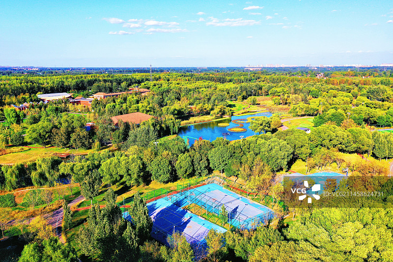 蓝天白云深秋凉 雁鹭迁徙一行行 层林尽染山河秀 残荷碧波芦苇黄 航拍俯瞰明珠美 烟波浩渺丹桂香 仙境图片素材