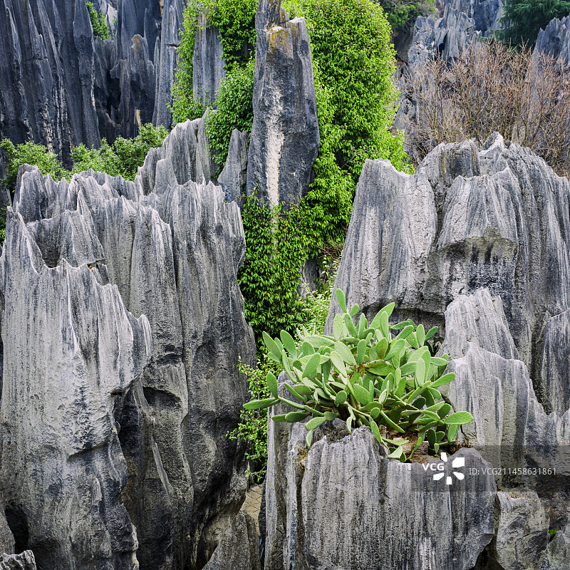 云南昆明石林风光图片素材