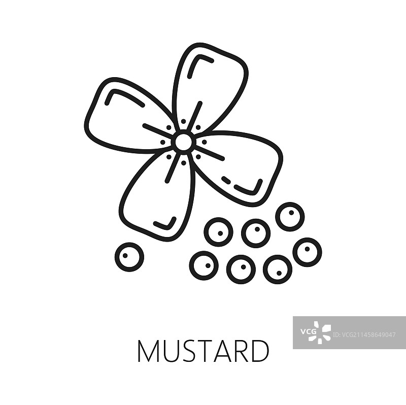 带黑色种子轮廓图标的芥菜植物图片素材