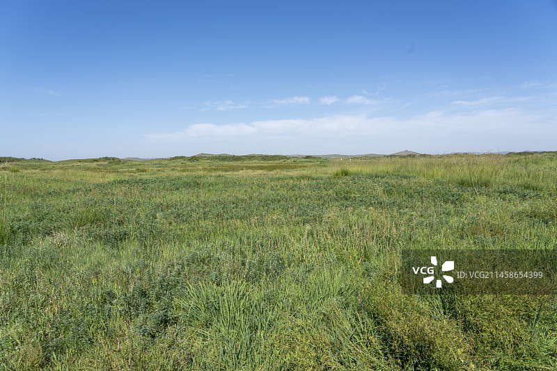 内蒙古草原草地蓝天自然背景图片素材