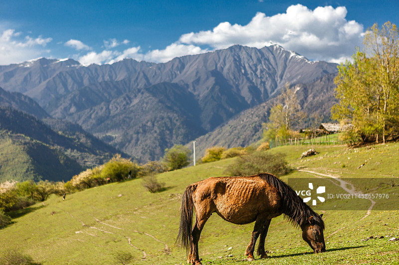 四川阿坝藏族羌族自治州九寨沟县中查村自然风光图片素材
