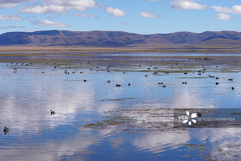 甘肃省 甘南藏族自治州 碌曲县 尕海湖图片素材