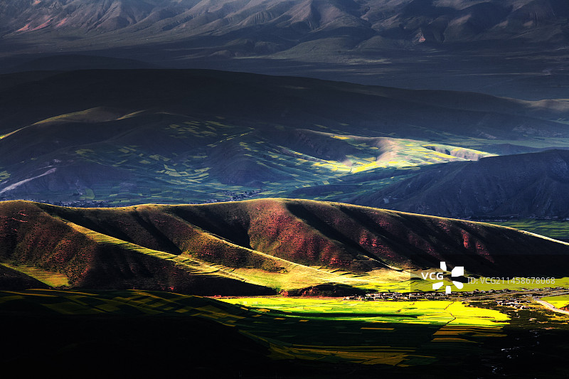 青藏高原青海门源油菜花图片素材