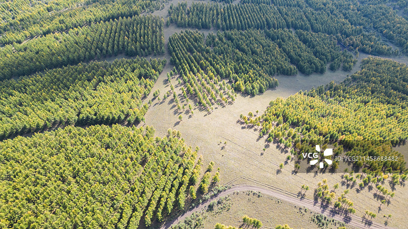 航拍丰宁坝上草原森林秋景风光图片素材