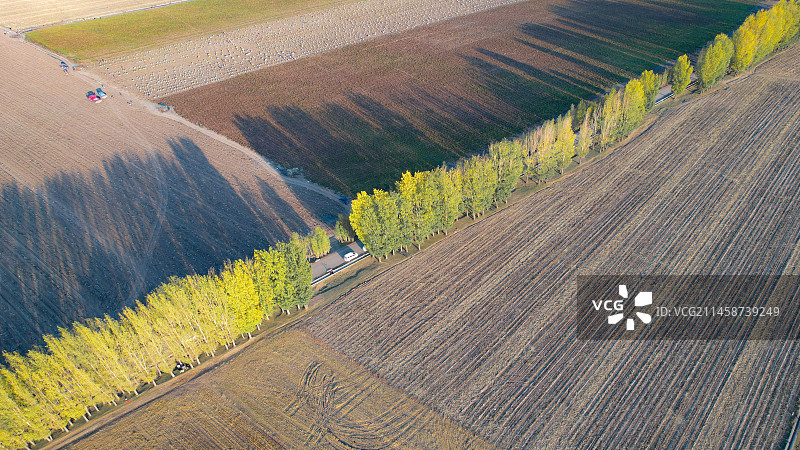 南山秋景图片素材