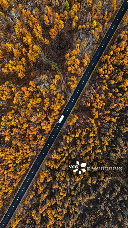 根满公路秋色图片素材