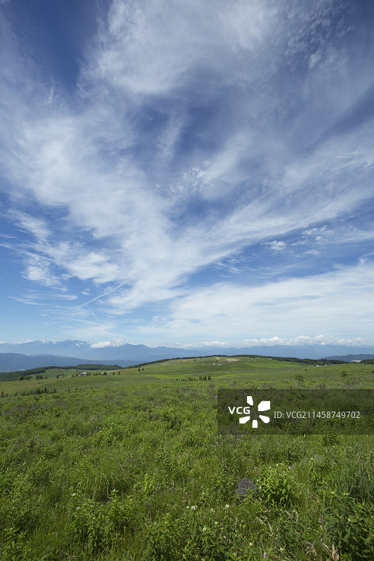 从雾峰高原看日本长野县诹访市的中央阿尔卑斯山脉图片素材